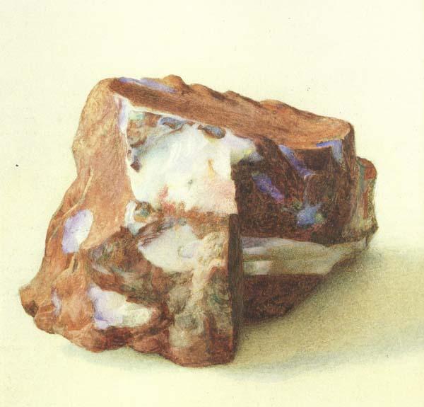 Alexander macdonald A Study of Opal in Ferrugineous jasper from New Guinea (mk46) Sweden oil painting art